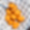 Mac bites