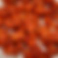 Shrimp Fry