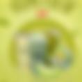 honeydew