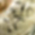 stracciatella gelato