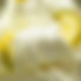 lemon sorbetto