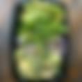 `