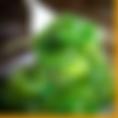 Seaweed salad
