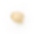 Pistachio Nut