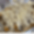 Crispy fries, topped with Monterey Jack cheese, Steak, sour cream, and our special homemade queso sauce