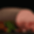 Boar's Head Genoa Salami Deli Sandwich