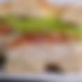 Tuna Salad Sandwich