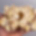 Coco Puff