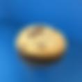 cookie