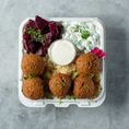 Falafel Entree