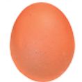 Nama Egg