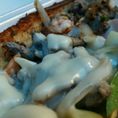 Steak & Shrimp, bell peppers, inions, mushrooms topped with an American Swiss blend cheese. 