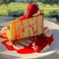 Cheesecake 