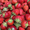Seasonal Fruit (Pictured: Fresh Strawberries)