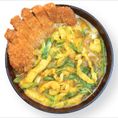 Katsu Curry Udon