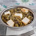 Palak Paneer