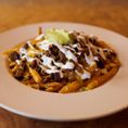 Asada Fries