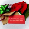 XMAS GIFT CARD