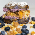 Blueberry Crumb Overload